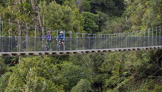 National Park Villages, The Timber Trail