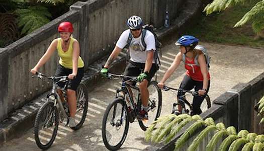 National Park Villages, Bridge To Nowhere-Mangapurua Track
