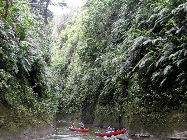 National Park Villages | Adrift Wanganui Canoe Guiding