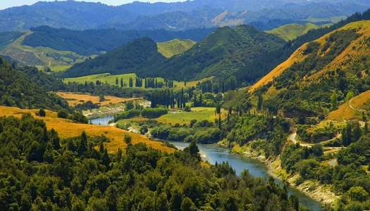 National Park Villages, Whanganui Rver Road